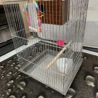 قفس بزرگ با لانه لوازم کامل