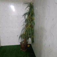 درخت مصنوعی وصندلی