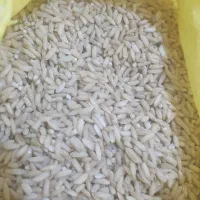 برنج عنبر بو قهوه ای ( سبوس دار )|خوردنی و آشامیدنی|بندر ماهشهر, |دیوار