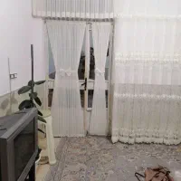 نصاب پرده حسینی|خدمات پیشه و مهارت|نیشابور, محله میدان باغات|دیوار