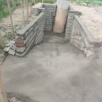 زمین کشاورزی صنوبر