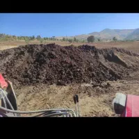 کود حیوانی یافضولات