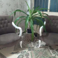 مبل ۵ نفره