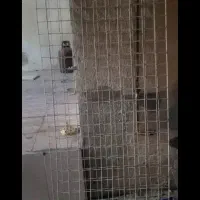 میز و توری