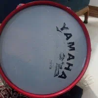 دوغول سالم