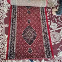 فرش|فرش|بروجرد, |دیوار