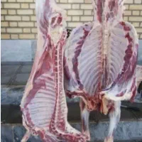 سلاخی و ذبح  گوسفند
