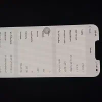 آیفون 13پرومکس 256