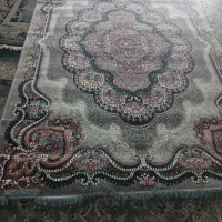 فرش ۶متری|فرش|مشهد, عامل|دیوار