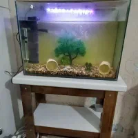اکواریوم