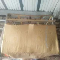 مامله ای با مرغ عشق|پرنده|ایرانشهر, |دیوار