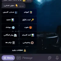 Neometric بات اختصاصی برای کسب‌وکار شما|خدمات رایانه‌ای و موبایل|رشت, گلسار|دیوار