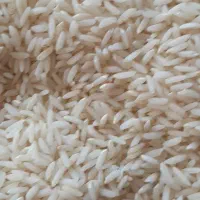 برنج و حبوبات|خوردنی و آشامیدنی|تبریز, |دیوار