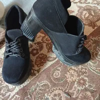 در حد نو|کیف، کفش، کمربند|سلماس, |دیوار