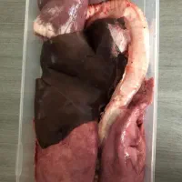 جگر گوسفندی