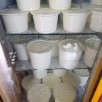 شیر دوغ ماست تخم مرغ خیارشور لبنیاتی دکتر لبن