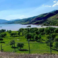 راننده ایسوزو ۶تن