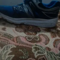 کفش نو تخفیف میدو|کیف، کفش، کمربند|کوهدشت, |دیوار