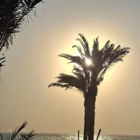 اجاره دفتر/160متر/ کلیدنخورده بر ساحل