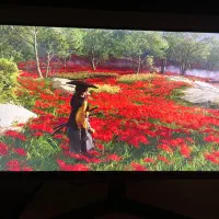 مانیتور ال جی گیمینگ FULL HD