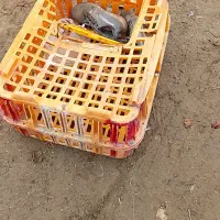 میز ناهار بفروش میرسد|میز و صندلی غذاخوری|زهک, |دیوار