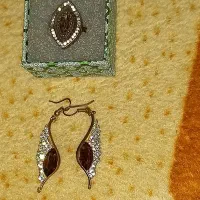 یک جفت گوشواره ویکعدد انگشتر بدلی اصل|بدلیجات|ایلام, |دیوار