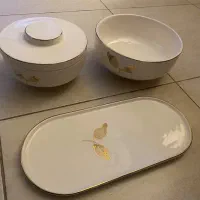 ظروف پذیرایی سرامیکی