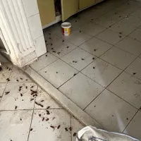 سمپاشی ساس سوسک و... با ضمانت کامل سم پاشی