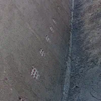 بنایی کنده کاری کاشی کاری|خدمات پیشه و مهارت|زابل, |دیوار