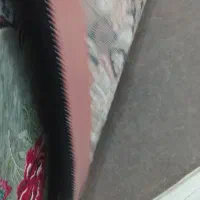 جفت فرش 12متری|فرش|خواف, |دیوار