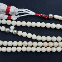 عاج الفیل|کلکسیون اشیاء عتیقه|اهواز, شهرک دانشگاه|دیوار