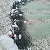 تور جشی|ماهیگیری|دلوار, |دیوار