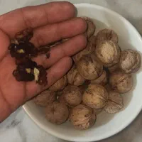 گردو|خوردنی و آشامیدنی|آشخانه, |دیوار