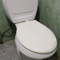 دستشویی فرنگی برند مروارید|لوازم سرویس بهداشتی|رشت, دروازه لاکان|دیوار