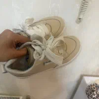 کفش در حد نو|کیف، کفش، کمربند|گنبد کاووس, |دیوار