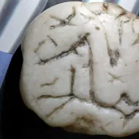 مهره نشان باستانی|کلکسیون اشیاء عتیقه|تهران, مختاری|دیوار