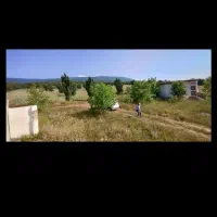 زمین-سند-تک-برگ-بر-جاده-اصلی-پیته-نو