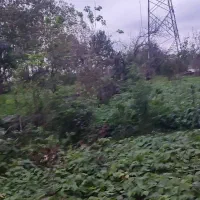 فروش-زمین-مسکونی
