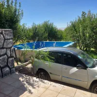 x33مدل ۹۹|خودرو سواری و وانت|زنجان, |دیوار