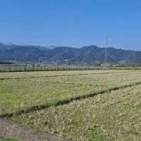 قطعه زمین املاک لوندویل|فروش زمین و ملک کلنگی|لوندویل, |دیوار