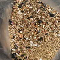 قفس و لونه پرنده|لوازم جانبی حیوانات|قزوین, |دیوار