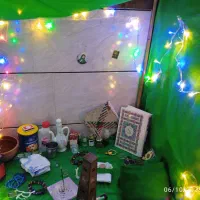 اینده نگری|خدمات پذیرایی، مراسم|بندر ماهشهر, |دیوار