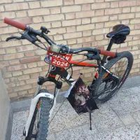 دچرخه حرفه ای ۲۹