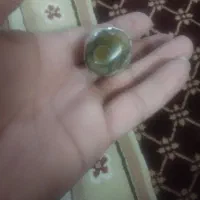 باباغوری غول پیکر قدیمی