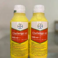 سم علفکش نخود چلنج بایر آلمان