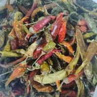 فلفل قرمز تند|خوردنی و آشامیدنی|اصفهان, جاوان|دیوار