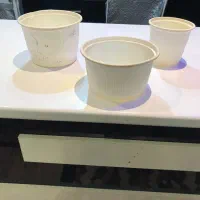 ظرف یک بار مصرف گیاهی کاس برگ