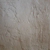 ۲ عدد بره شیری