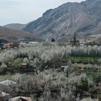واحد65-متری-نوساز-سولقان