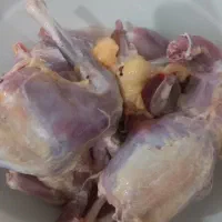 مرغ و خروس رسمی و طبیعی کشته شده و پاک شده|حیوانات مزرعه|اسلام‌شهر, چیچکلو|دیوار